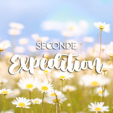 Seconde expédition