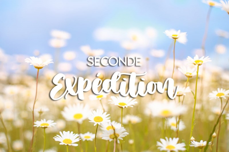 Seconde expédition