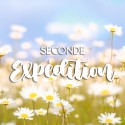 Seconde expédition