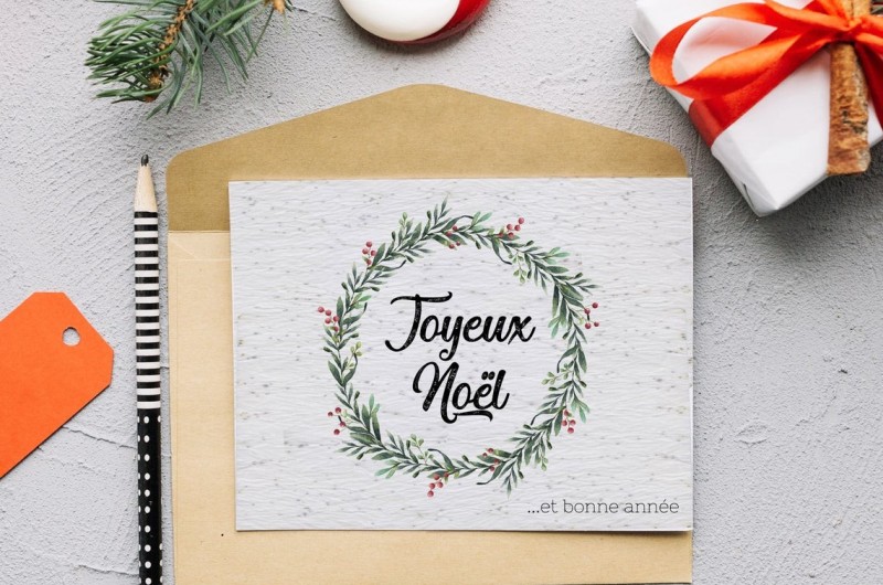 Carte à planter Joyeux Noël - Couronne de gui