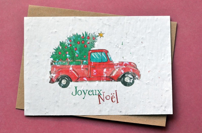 Carte à planter Joyeux Noël - Camion et Sapin