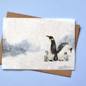 Carte à planter Pingouin