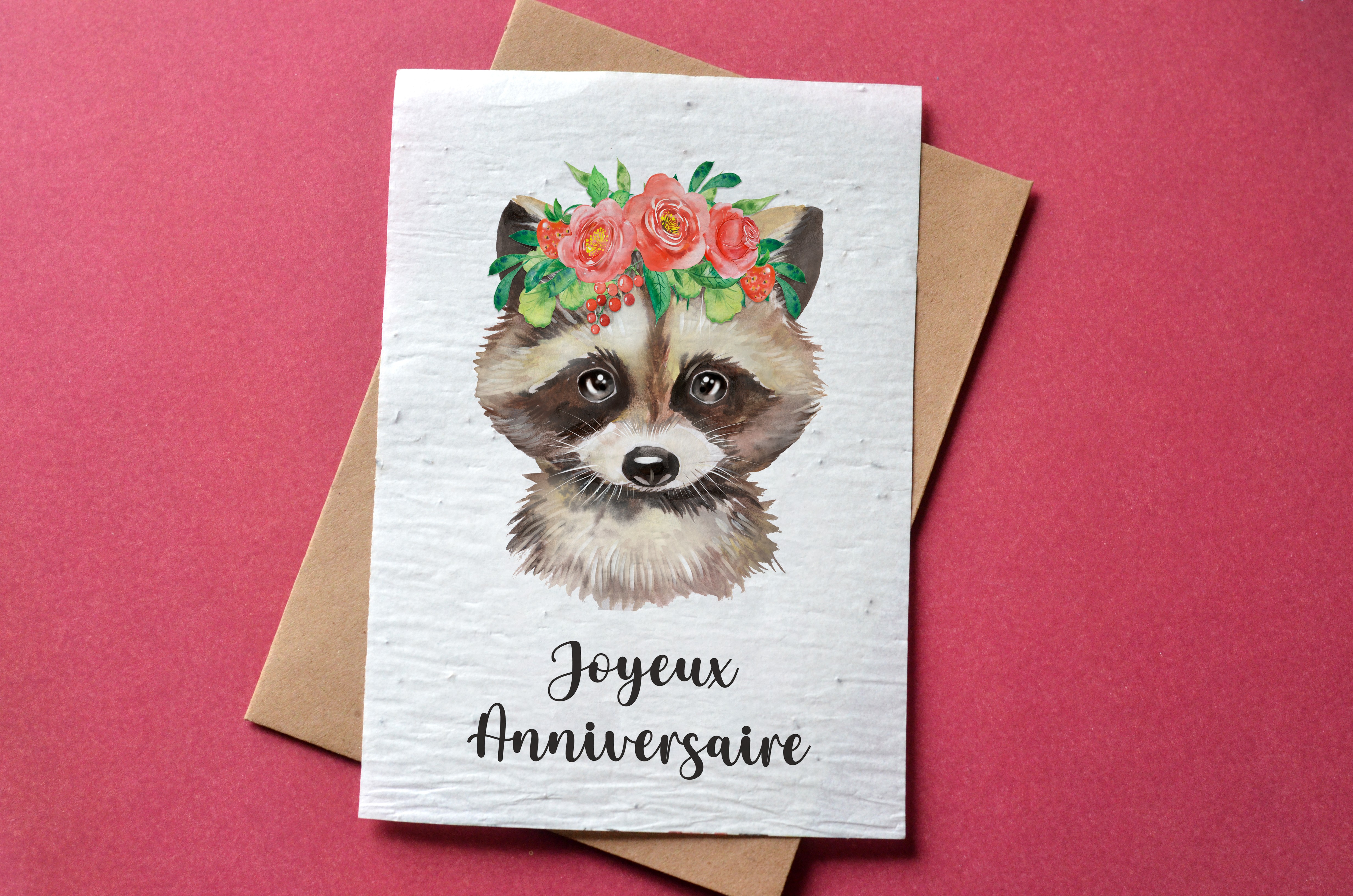 Carte A Planter Anniversaire Raton Laveur Carte A Pousser