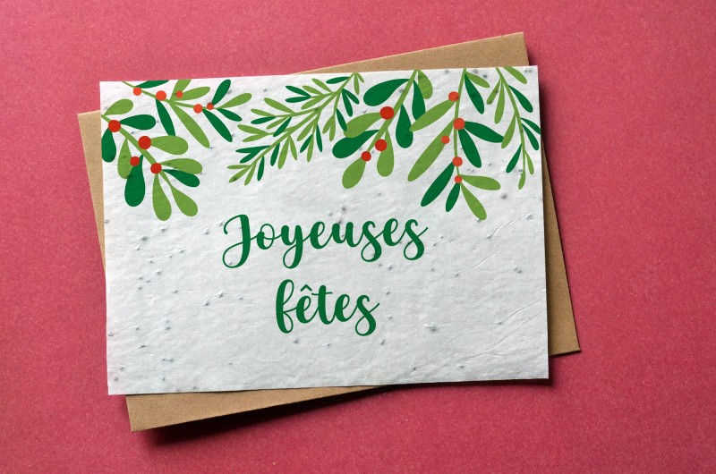 Carte à planter Joyeuses Fêtes - Branches de gui