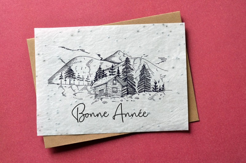 Carte à planter Bonne année - Chalet Montagnard