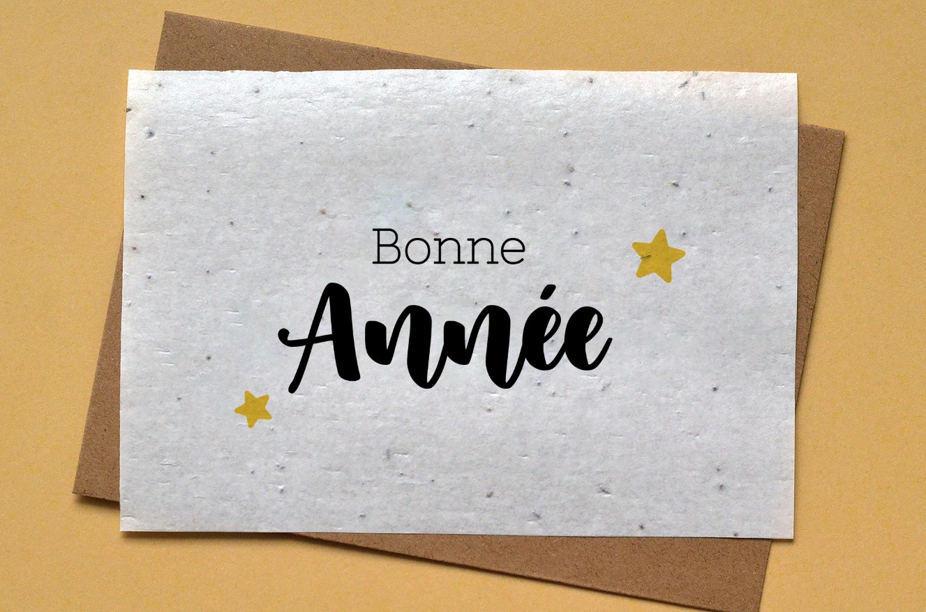 Carte de vœux bonne année en français lot de 14 cartes bonne année