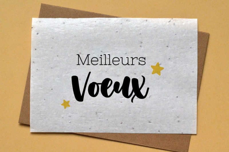 Carte à planter Meilleurs Voeux étoiles