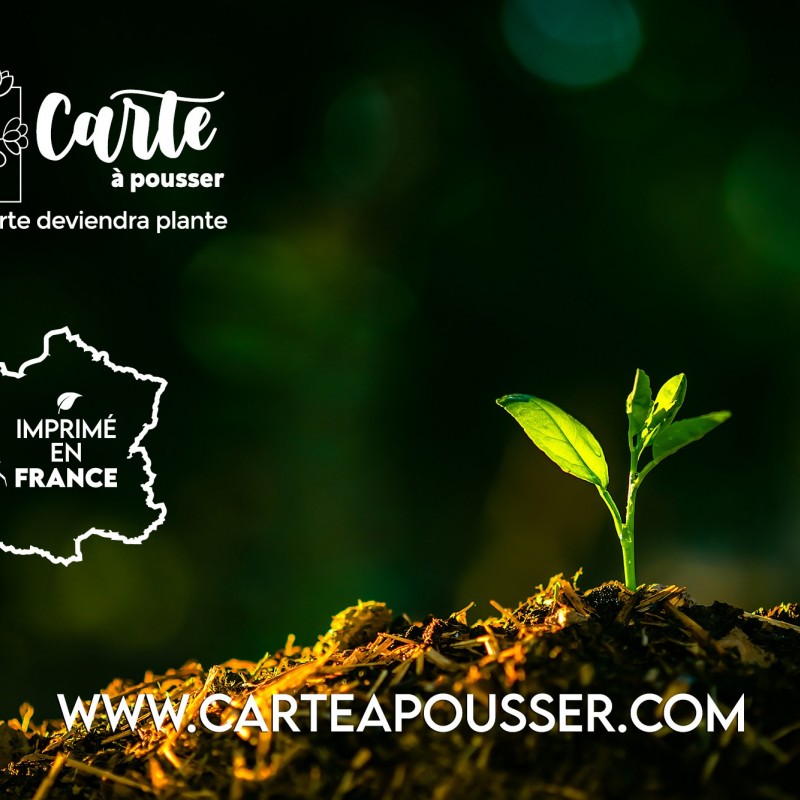 🌱Carte à planter Meilleurs Voeux 2024 - Carte à Pousser