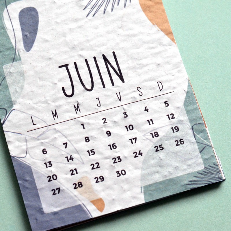 Calendriers à planter - Papier Ensemence