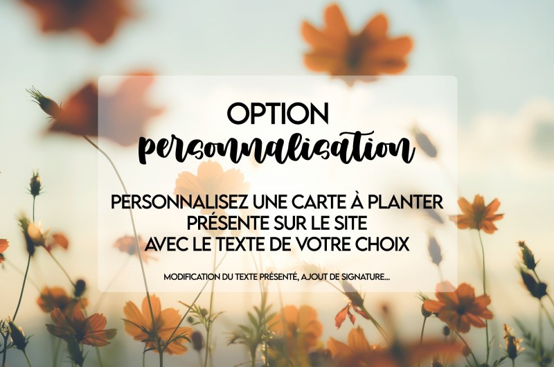 Option Personnalisation