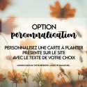 Option Personnalisation