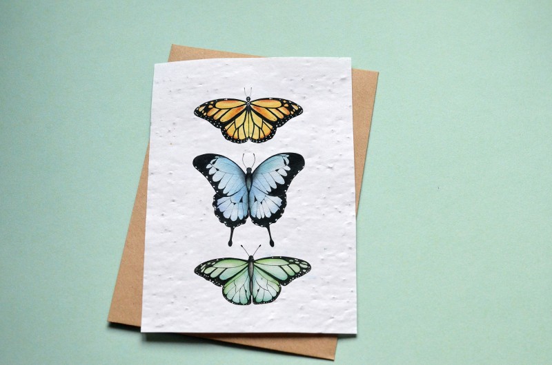 Carte à planter Papillons