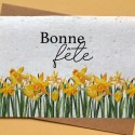 Carte à planter Bonne Fête Jonquilles