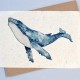 Carte à planter Baleine