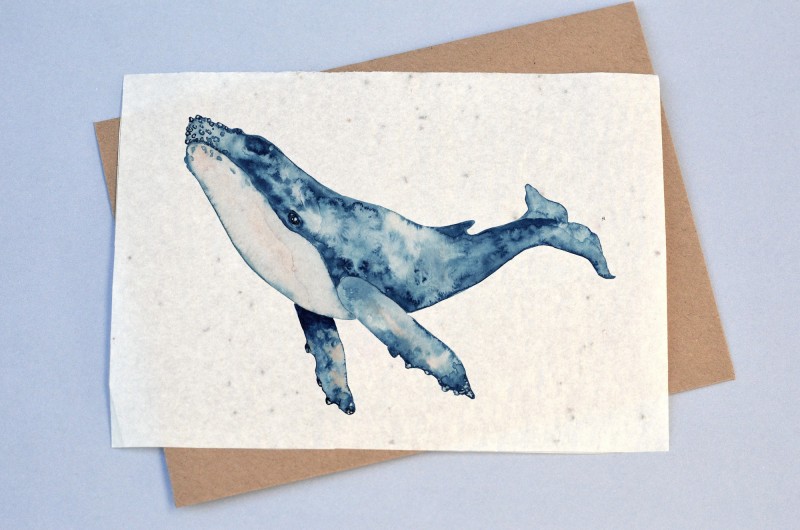 Carte à planter Baleine