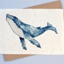 Carte à planter Baleine