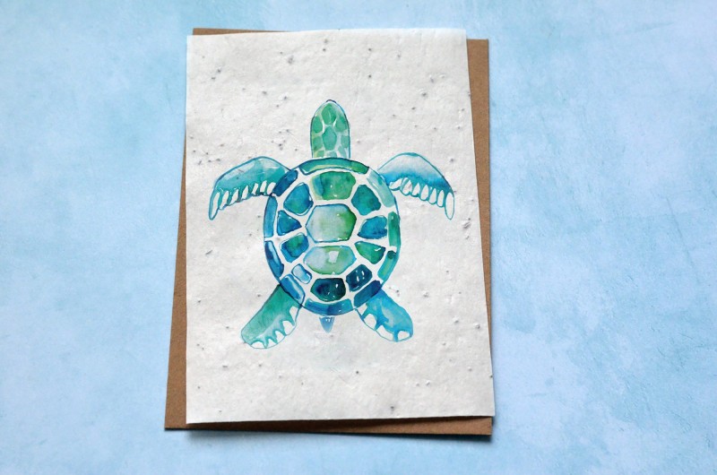 Carte à planter Tortue