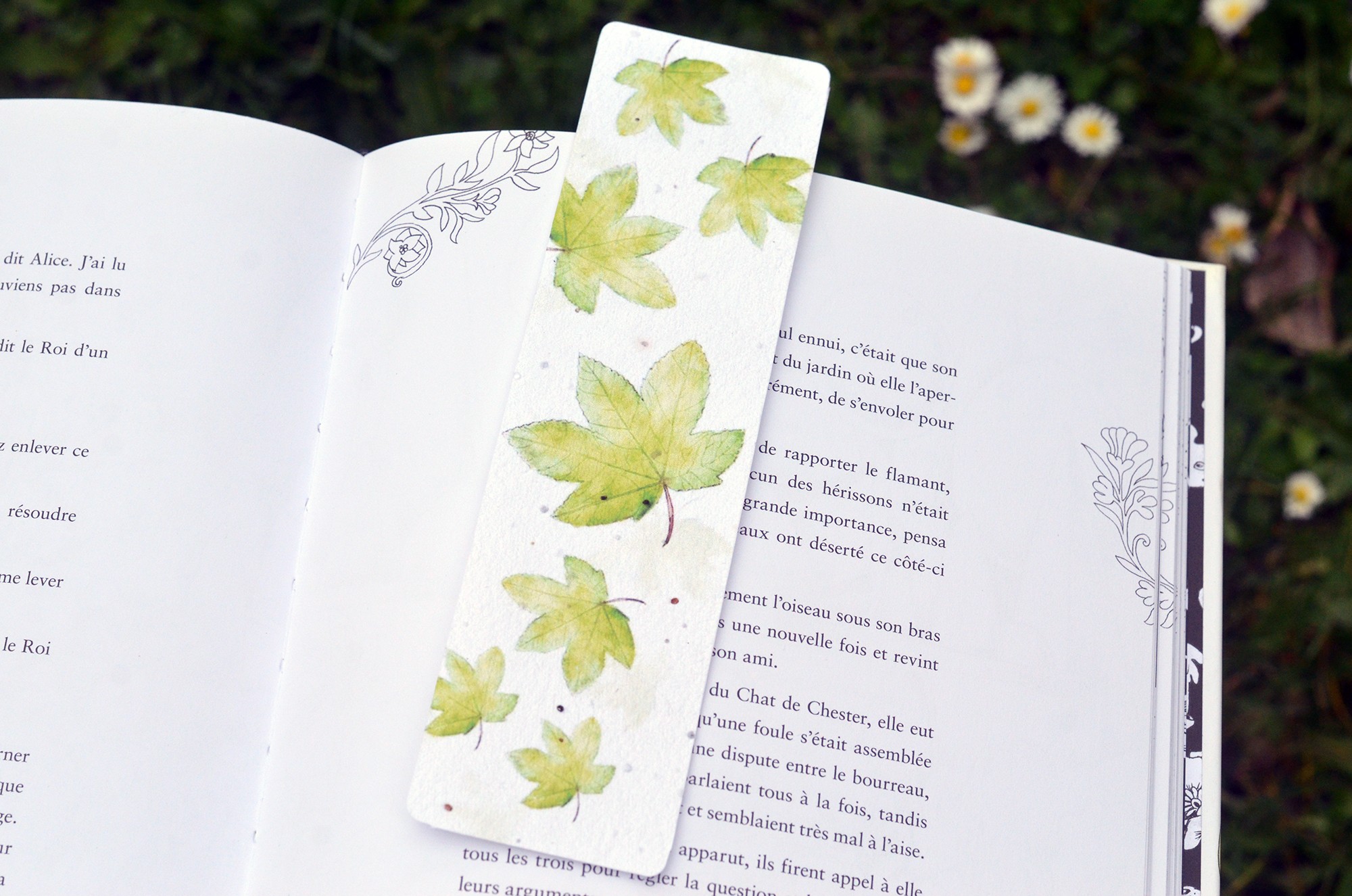 🌱Marque-page à planter Feuilles d'érable Sycomore - Carte à Pousser, image size:2000x1325
