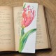 Marque-page à planter Tulipe