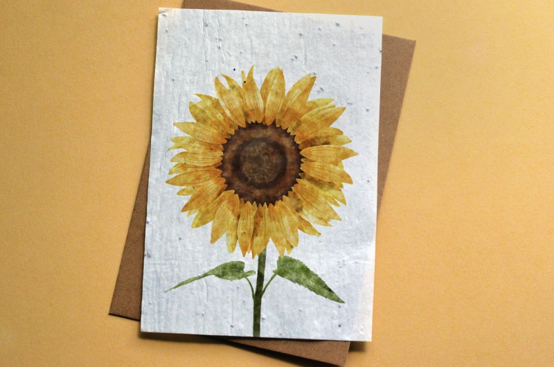 Carte à planter Tournesol