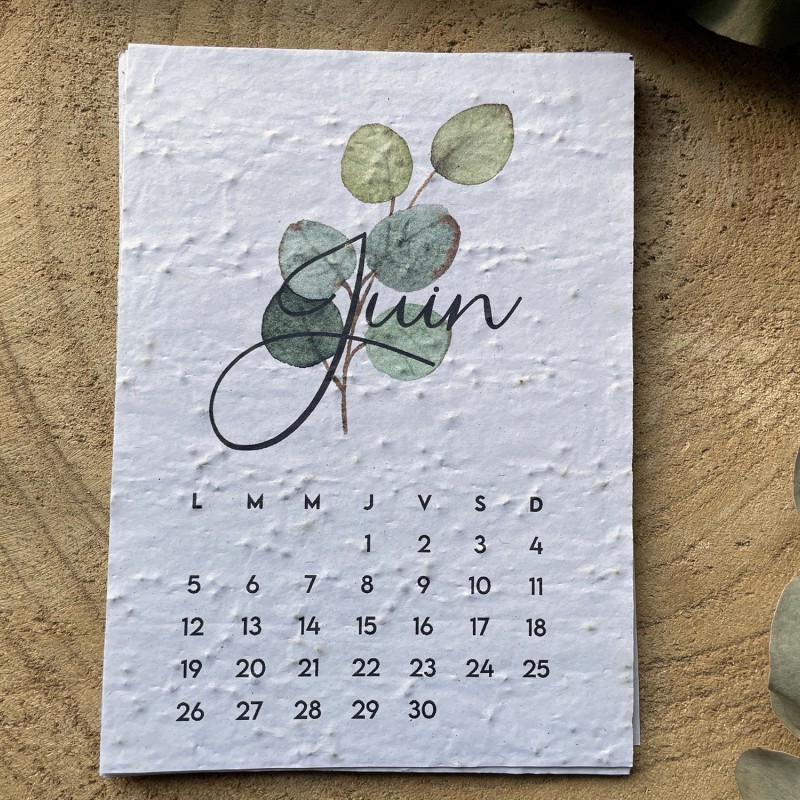 Calendriers à planter - Papier Ensemence