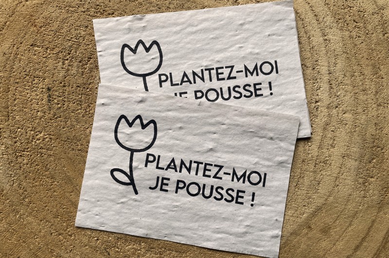 Lot de 10 Mini Cartes à planter Plantez-moi Je pousse !