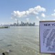Carte à planter Manhattan - Souvenir de New York
