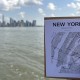 Carte à planter Manhattan - Souvenir de New York