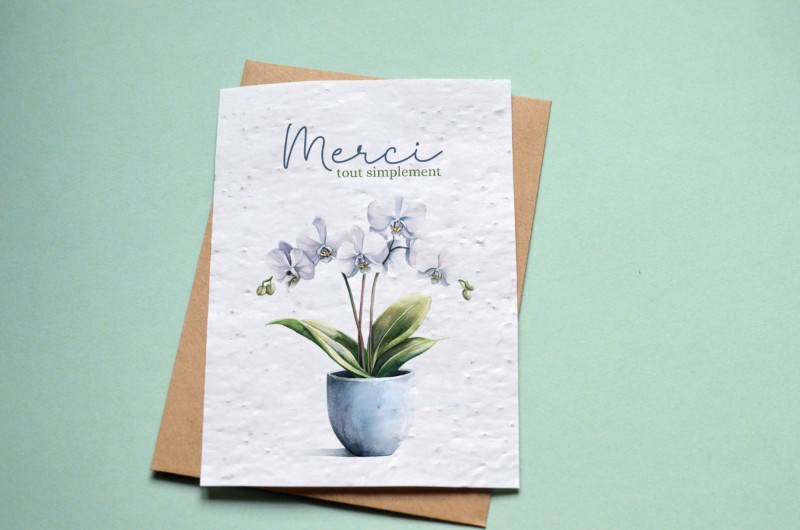 Carte à planter Merci tout simplement - Orchidée