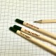 Crayon à planter Messages inspirants