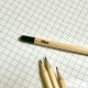 Crayon à planter Personnalisé