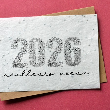 Carte à planter Meilleurs Voeux 2025 Noir et Blanc