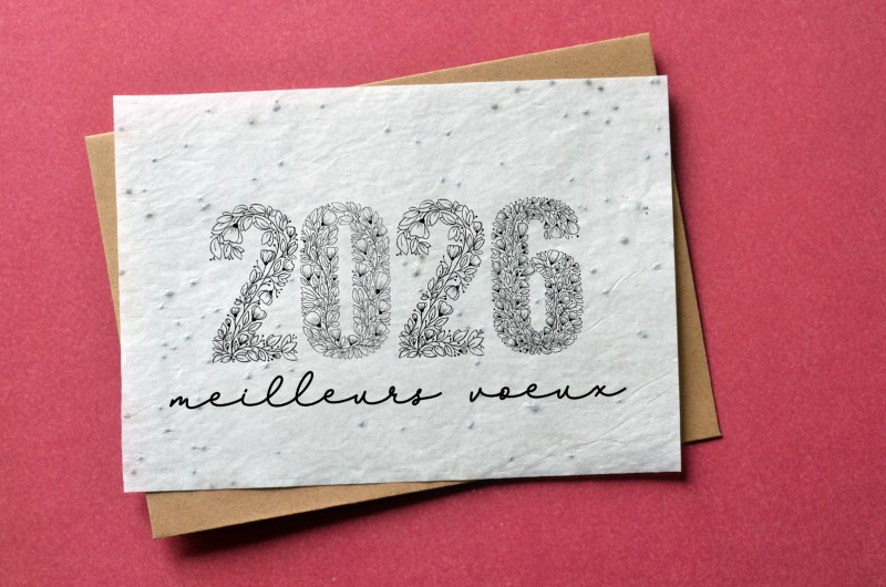 Carte à planter Meilleurs Voeux 2025 Noir et Blanc