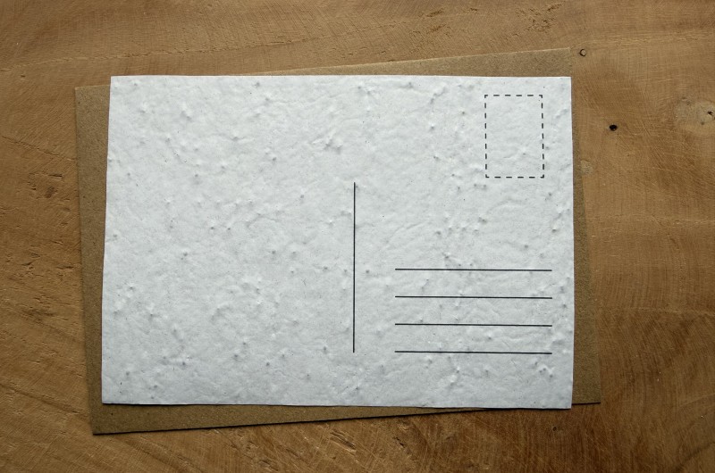 Carte à planter Coquelicot
