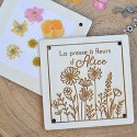 Presse à fleurs pour herbier