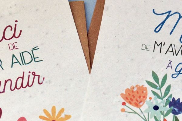 Carte et crayon à planter pour dire merci à la maîtresse : les cadeaux de fin d'année qui poussent