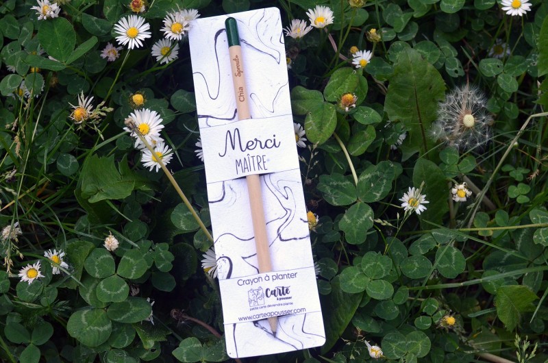 Crayon &agrave; planter Merci Maitre