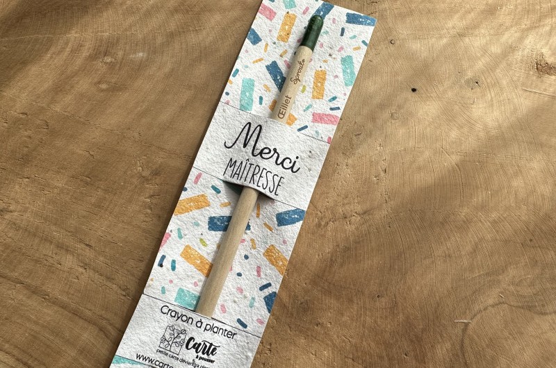 Crayon &agrave; planter Merci Maitresse