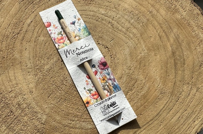 Crayon &agrave; planter Merci Nounou - Personnalis&eacute;